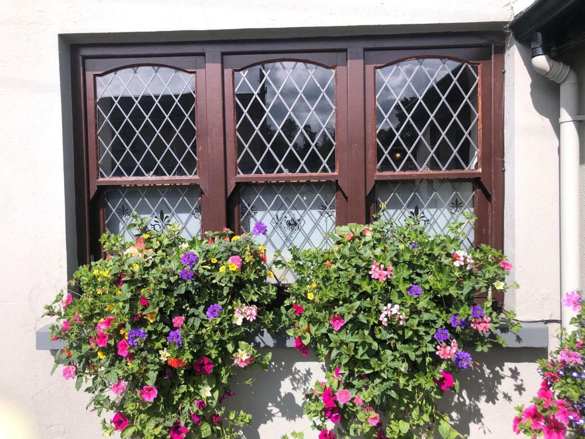 Chester Beatty Inn Ashford Zewnętrze zdjęcie